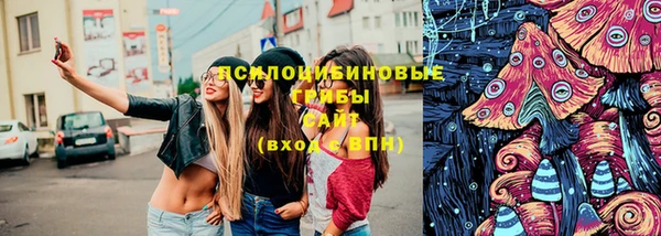 шишки Бронницы