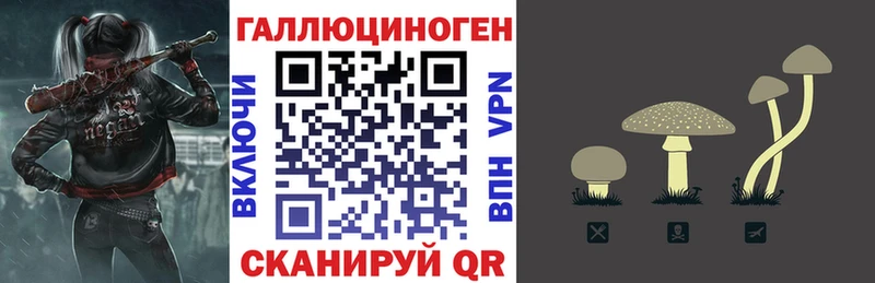 Псилоцибиновые грибы мицелий  Купить закладки  Магадан 